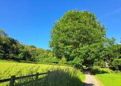 British Landscape an influence for my work