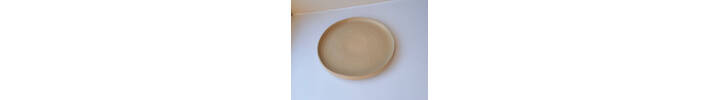 Dinner Plate White