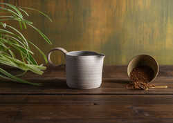 The Perfect Gift: The Story of the Gravy Jug