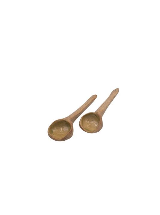 A Set of Two Spoons