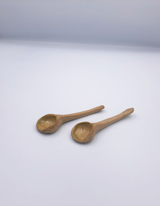 A Set of Two Spoons