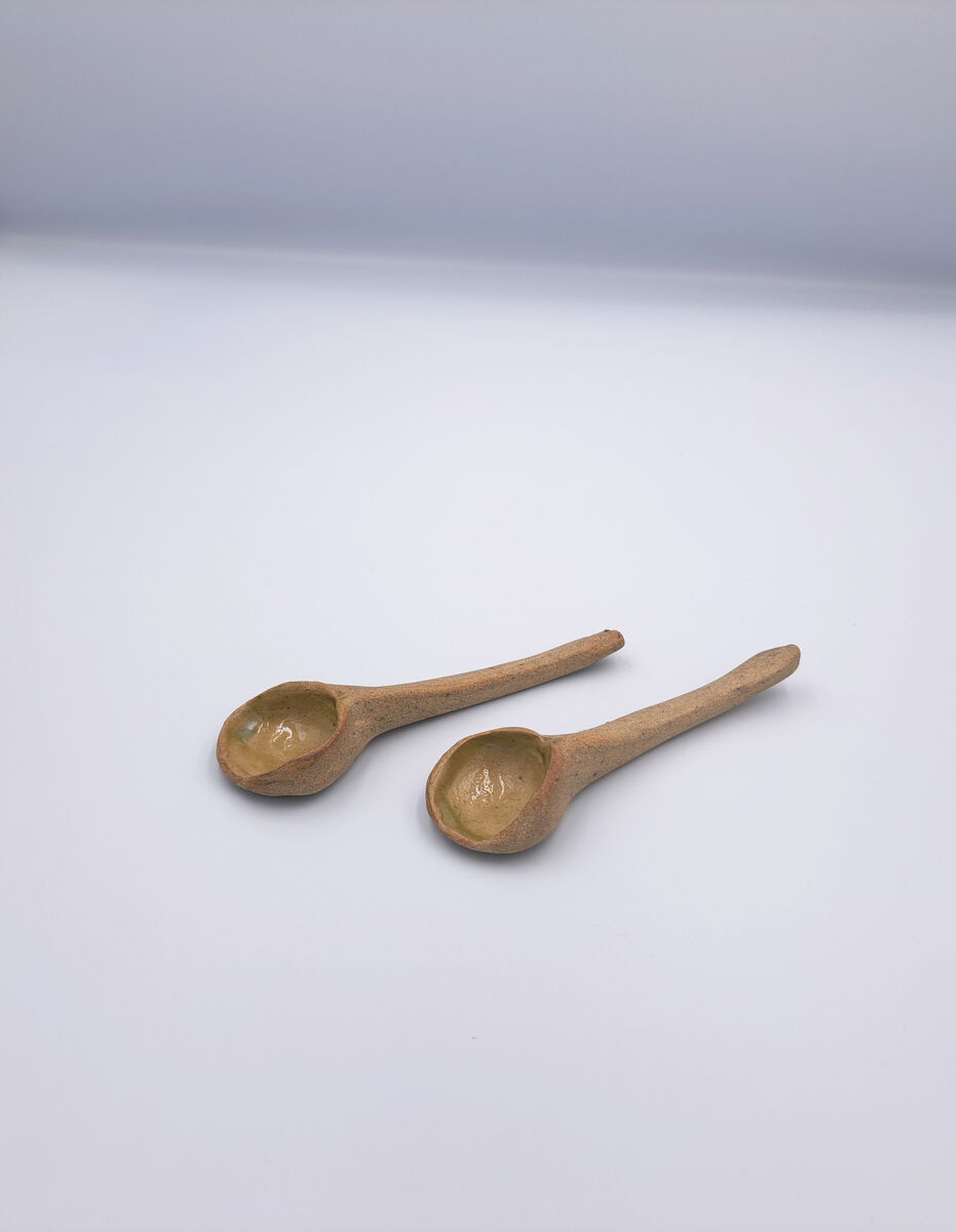 A Set of Two Spoons