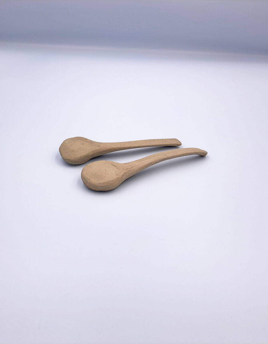 A Set of Two Spoons
