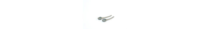 Set of two Spoons